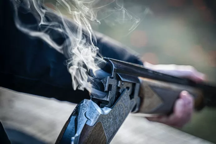 Part 3: Appeals against the granting of a shotgun licence or forearms licence